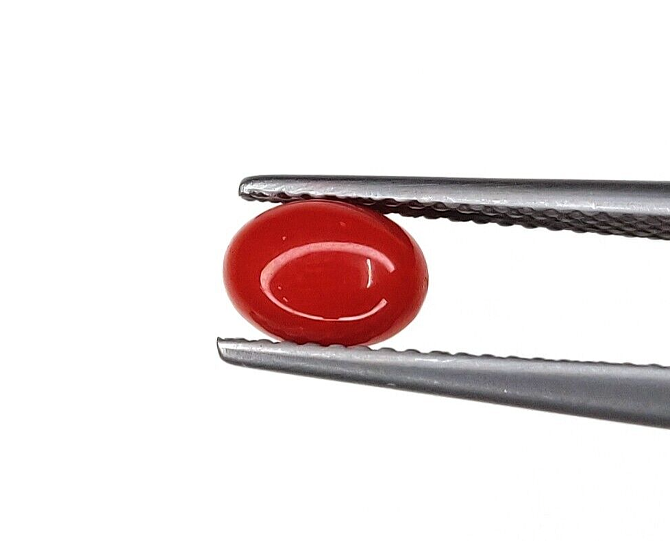 10 Pcs Natural Italian Coral 8x6mm Oval Shape Loose Gemstone Cabochon
