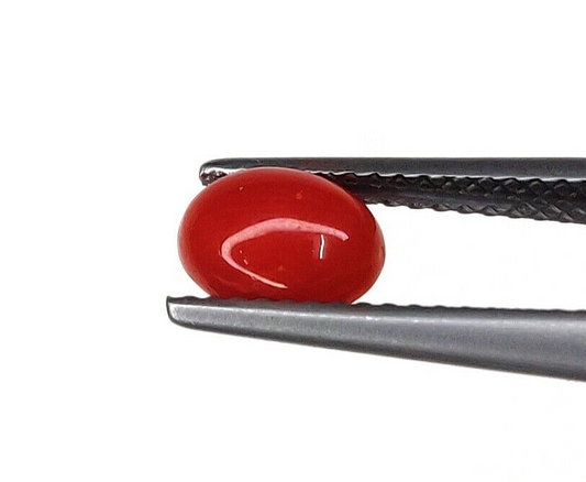 10 Pcs Natural Italian Coral 8x6mm Oval Shape Loose Gemstone Cabochon