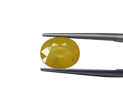 Natural Yellow Sapphire | 5.30cts