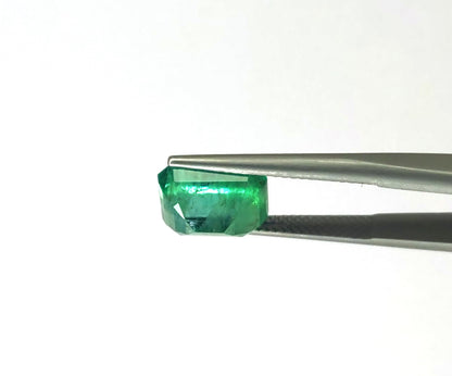 Natural Emerald Zambia  Octagon   4.81 carat