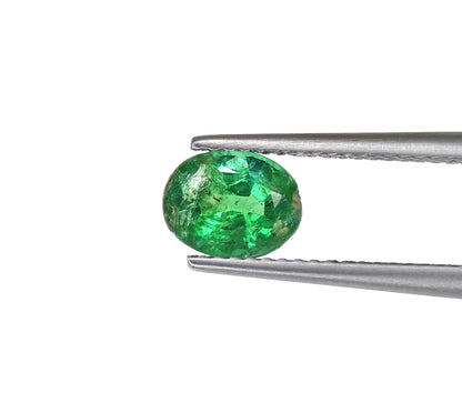 Natural Emerald Zambia Oval 1.20 carat