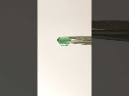 Natural Emerald Zambia Octagon 3.79 carat