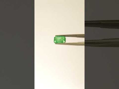 Natural Emerald Zambia  Octagon   4.81 carat